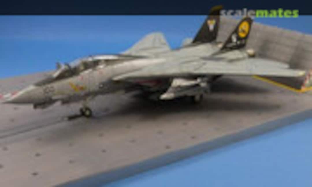Grumman F-14D Tomcat 1:72