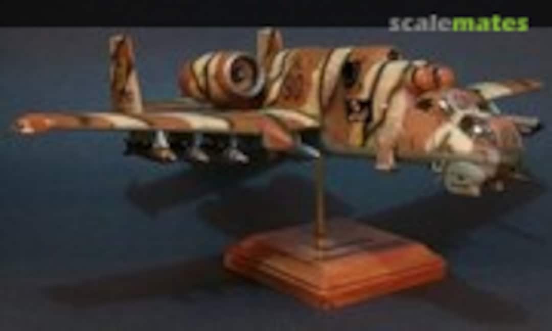 A-24D Wart Hind 1:48