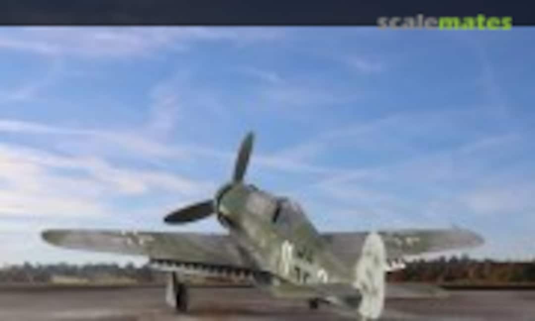 Focke-Wulf Fw 190D-9 1:32