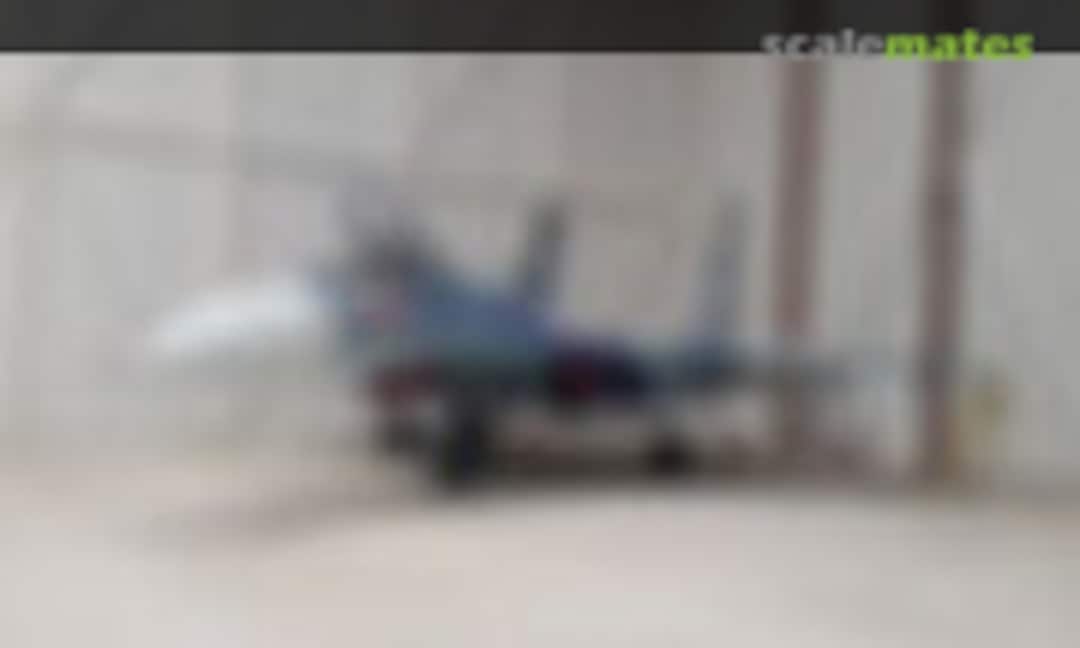 Sukhoi Su-27 Flanker-B 1:48