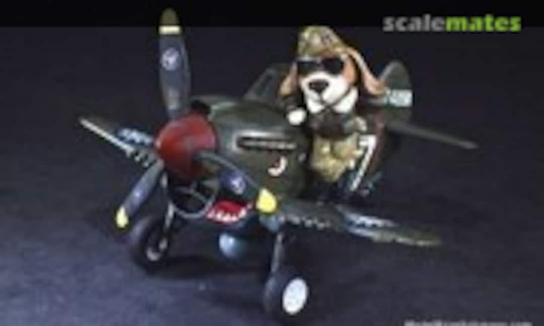 Curtiss P-40 Warhawk 1:Egg