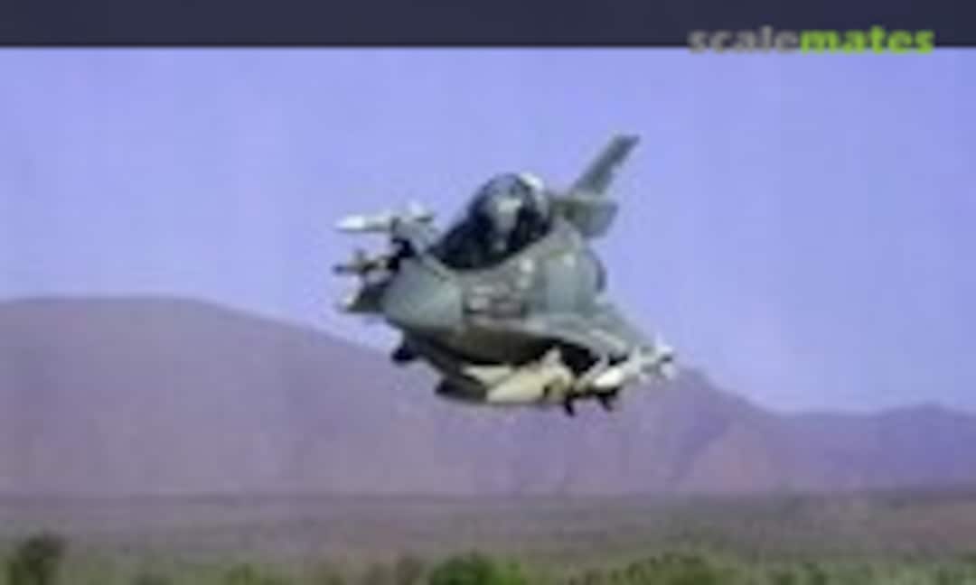 Lockheed Martin F-16C Fighting Falcon 1:Egg