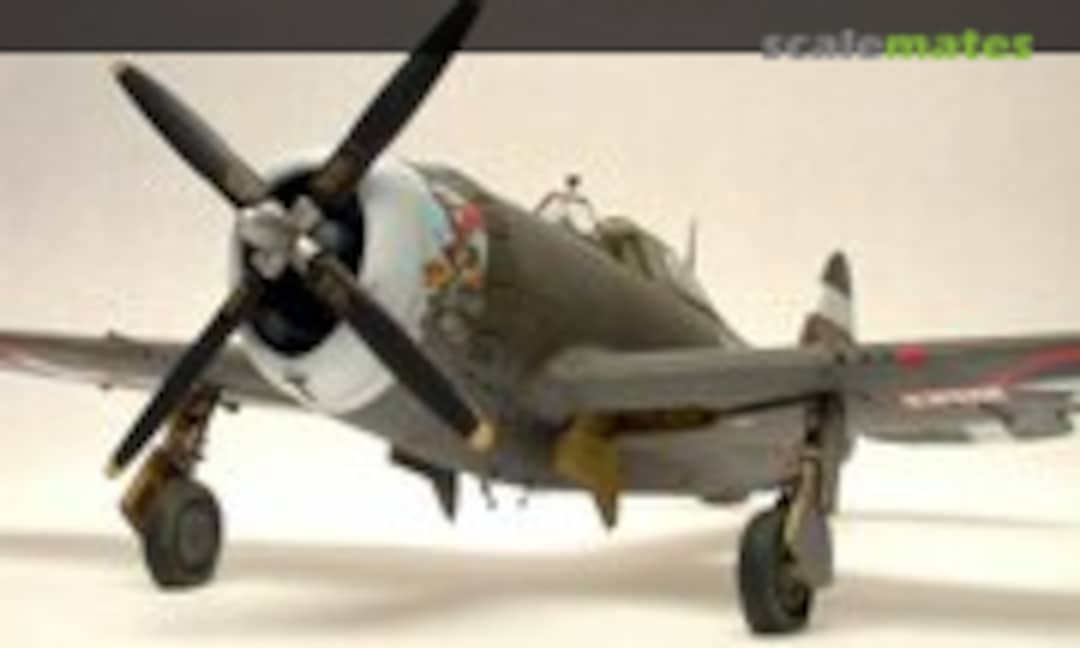 Republic P-47D-5 Thunderbolt 1:48