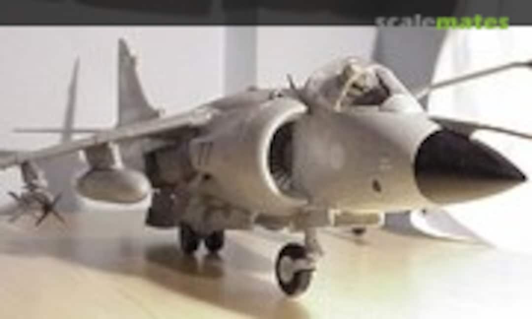 Hawker Sea Harrier FRS.1 1:24