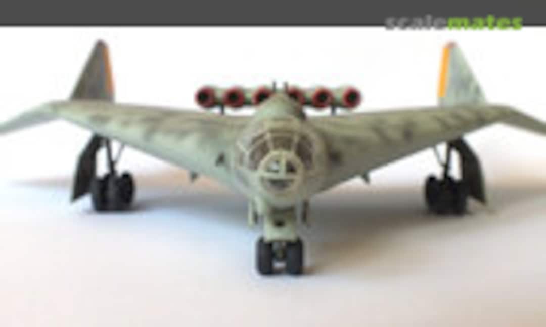 Arado E.555-1 1:72