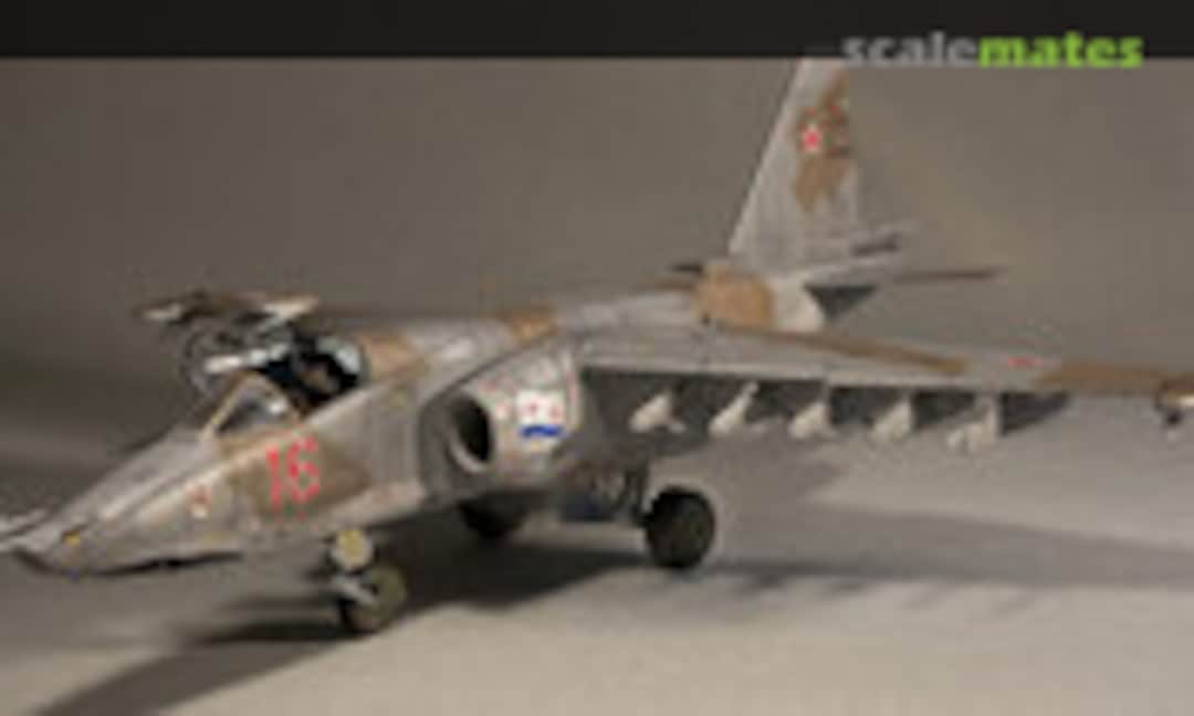 Sukhoi Su-25K Frogfoot 1:48