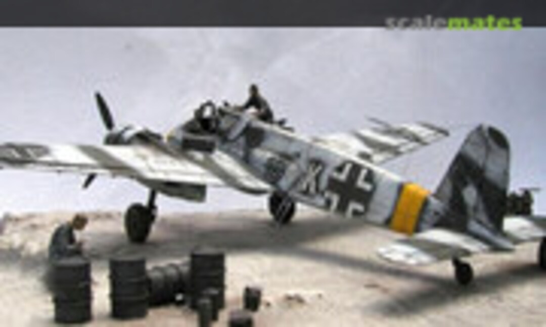 Henschel Hs 129B-2 1:48