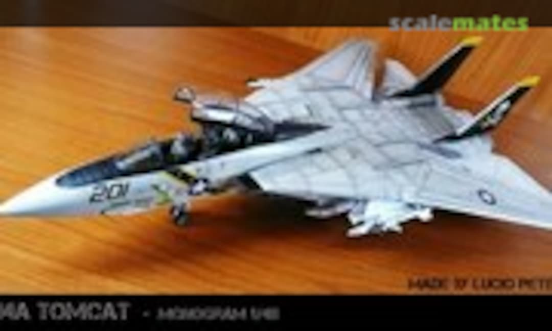 Grumman F-14A Tomcat 1:48