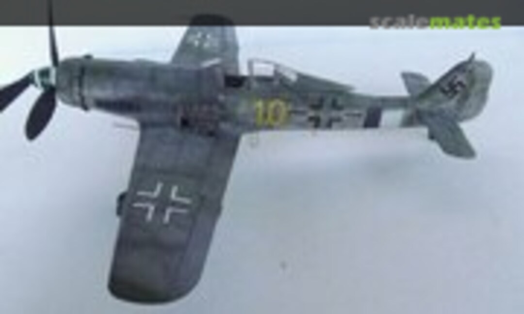 Focke-Wulf Fw 190D-13/R11 1:48