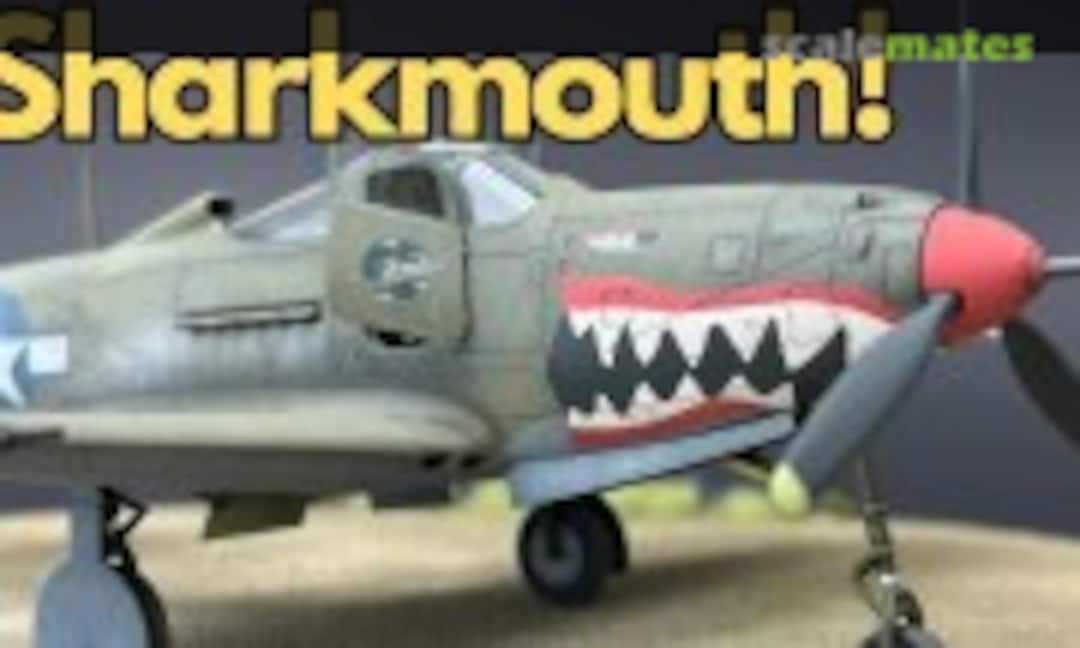 Bell P-39 Airacobra 1:48