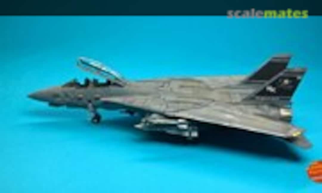 Grumman F-14D Super Tomcat 1:48