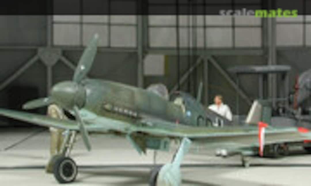 Heinkel He 100 D-1 1:48