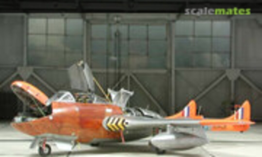 De Havilland Vampire T.11 1:48