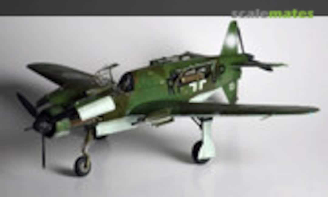 Dornier Do 335 B-2 1:32