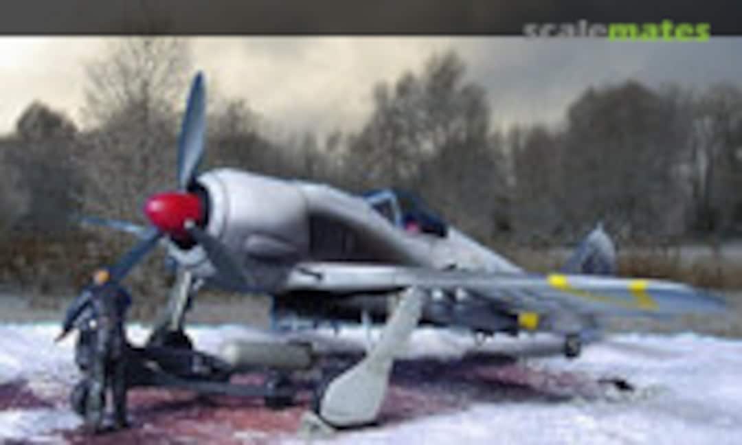 Focke-Wulf Fw 190F-8 1:48