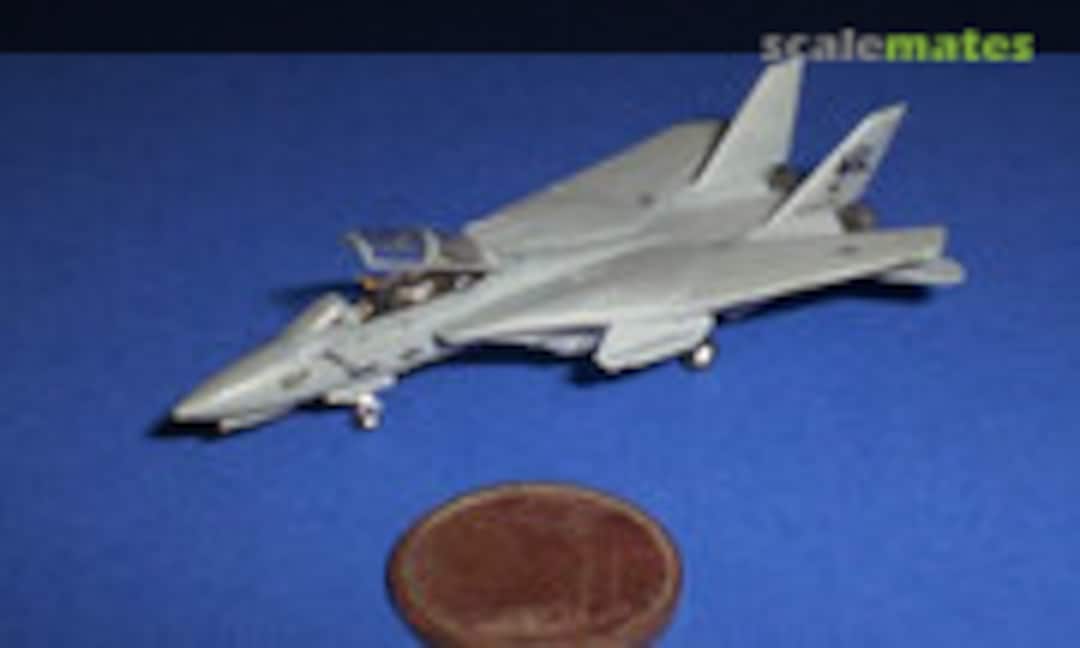 Grumman F-14D Tomcat 1:350