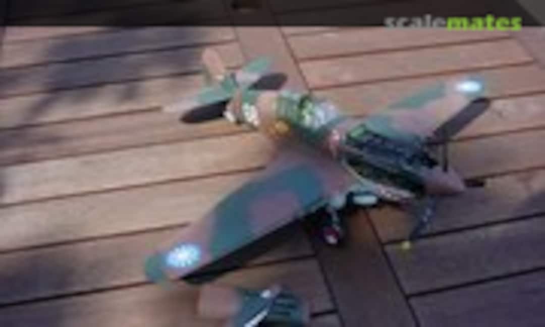 Curtiss P-40B Tomahawk 1:24