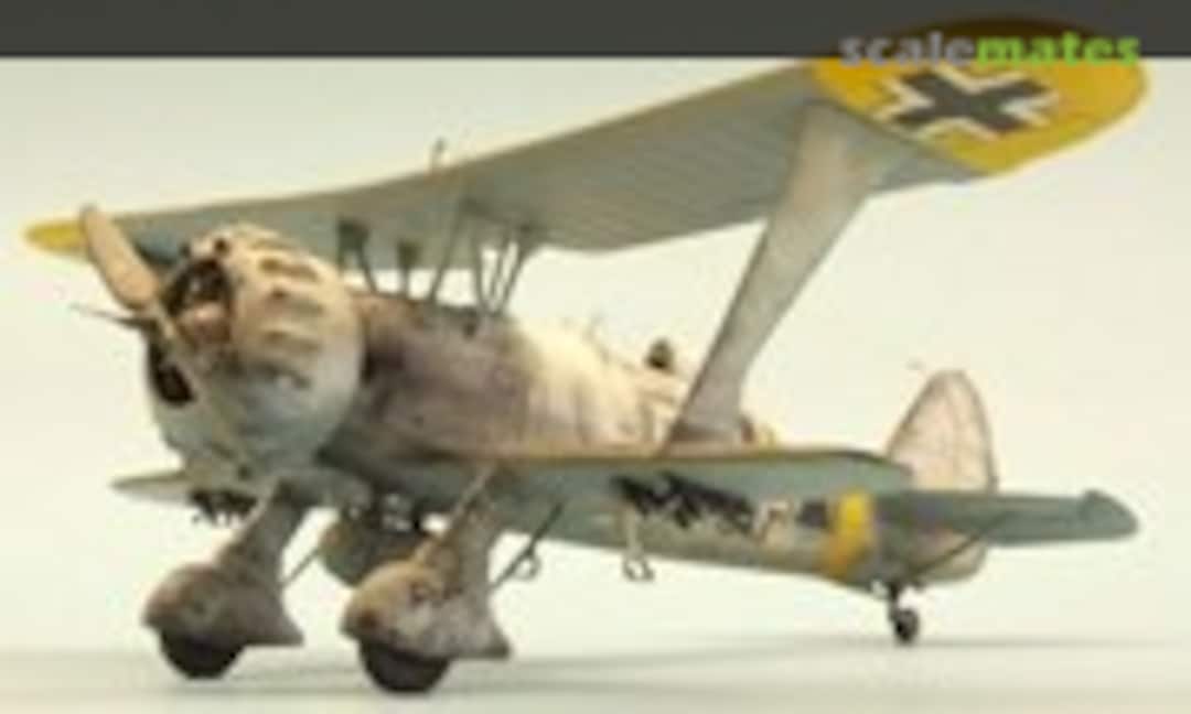 Henschel Hs 123 1:48