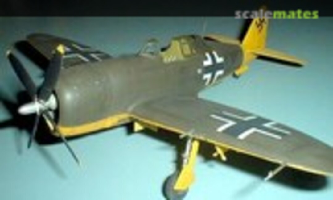 Republic P-47D Thunderbolt 1:48