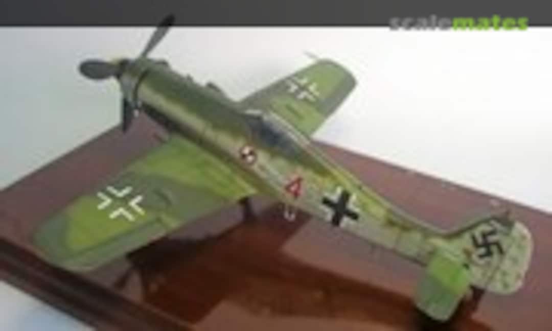Focke-Wulf Fw 190D-11 1:48