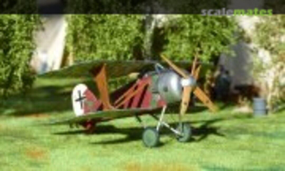 Albatros D.XII 1:72
