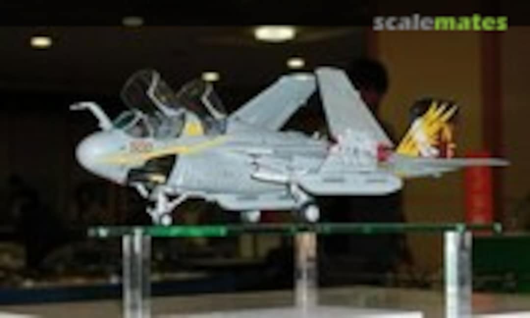 Grumman EA-6B Prowler 1:48