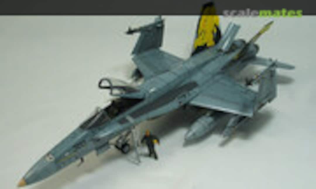 McDonnell Douglas F/A-18C Hornet 1:48