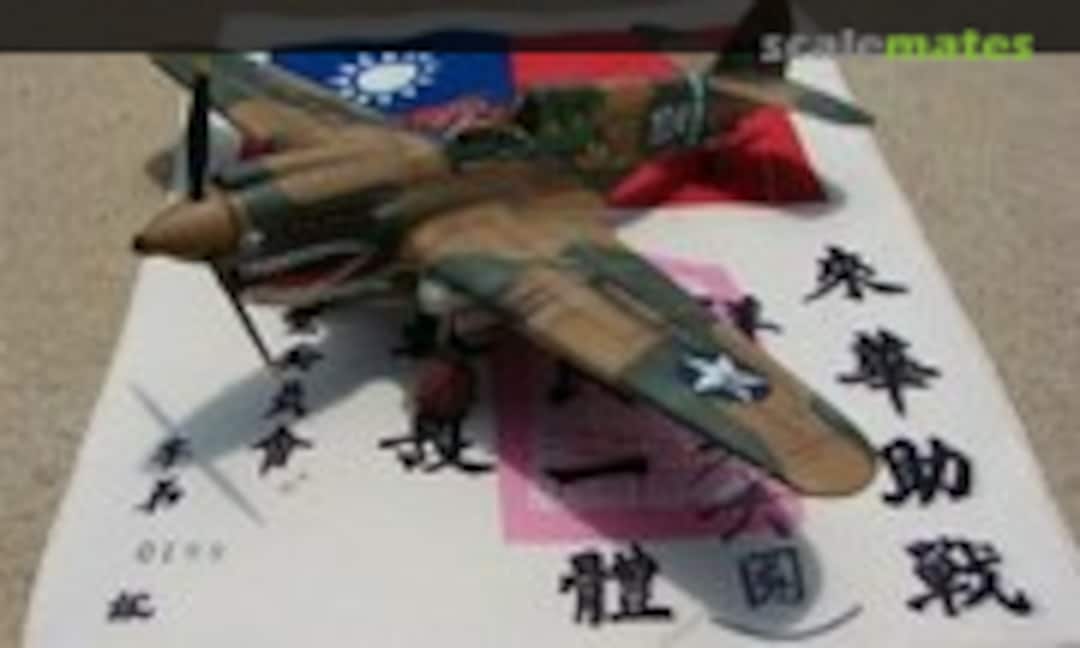 Curtiss P-40E Warhawk 1:48