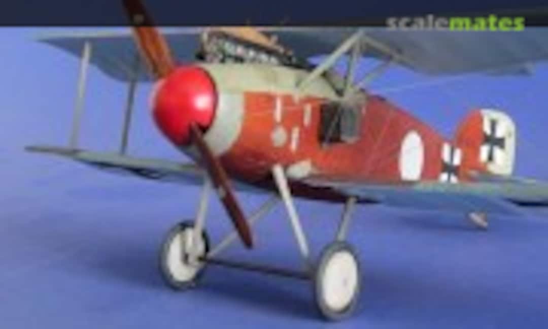 Albatros D.II 