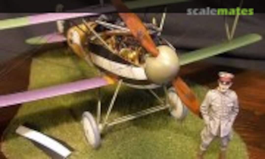 Albatros D.V 1:32