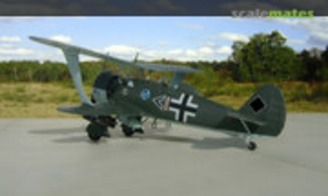 Henschel Hs 123A-1 1:48