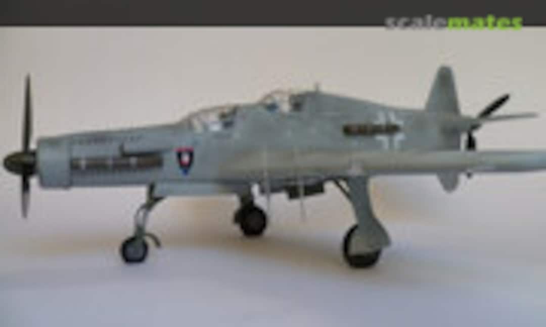 Dornier Do 335 1:48