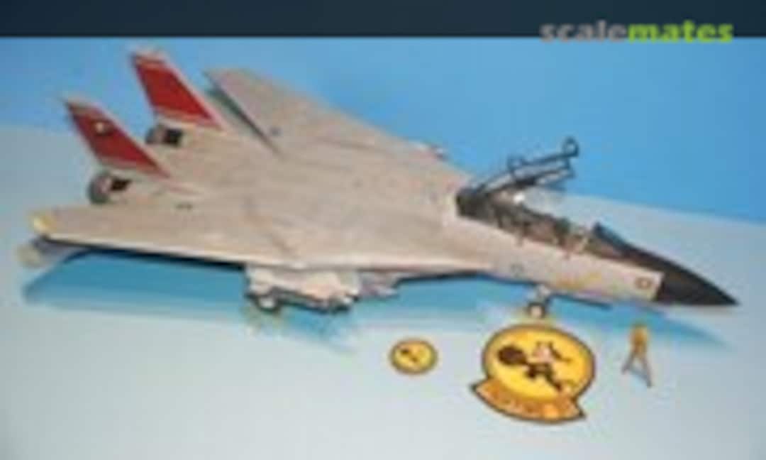Grumman F-14D Tomcat 1:32