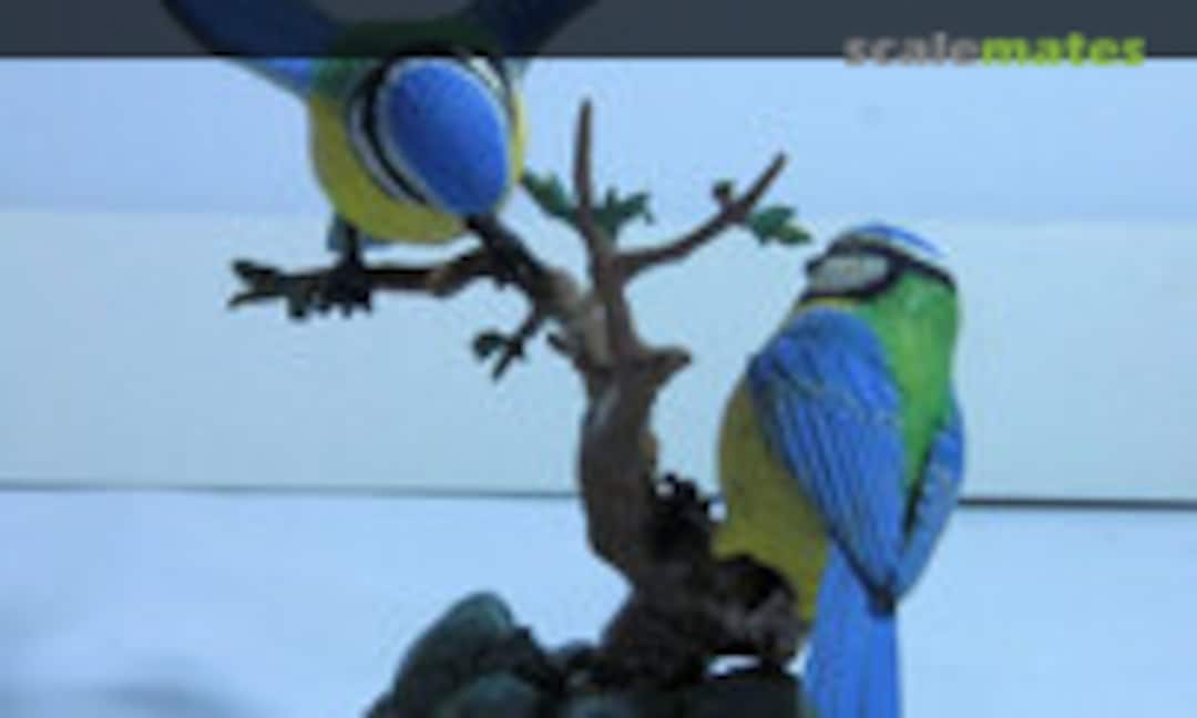 Bluetits 1:1