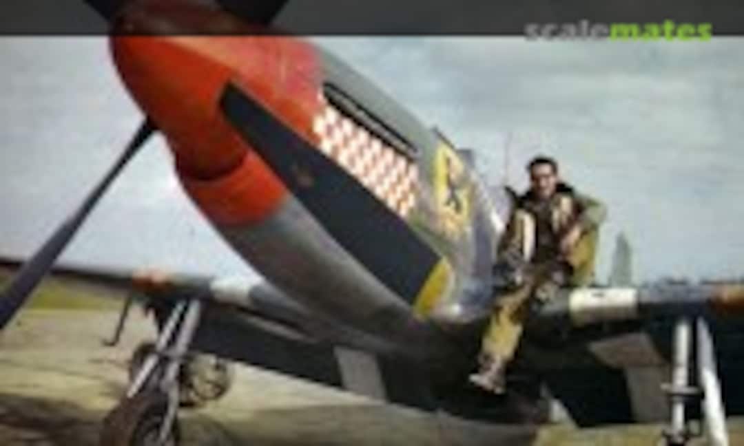 P-51B “Shangri-La” 1:72