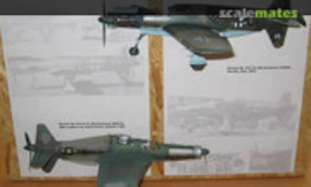 Dornier Do 335 1:48