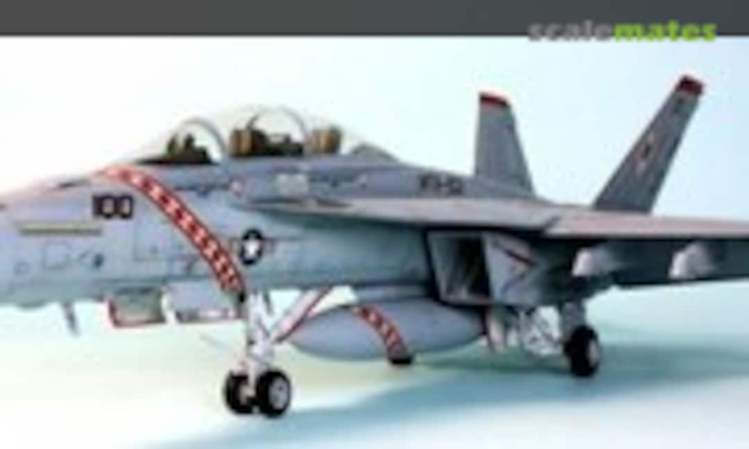 Boeing F/A-18F Super Hornet 1:48