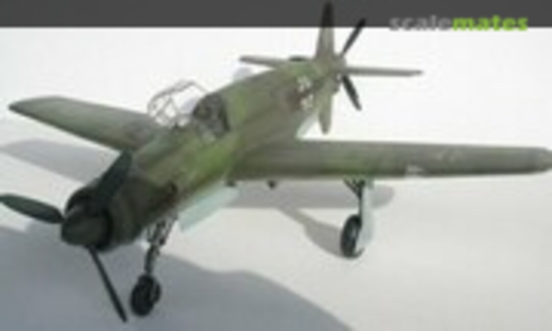 Dornier Do 335 A-1 1:48