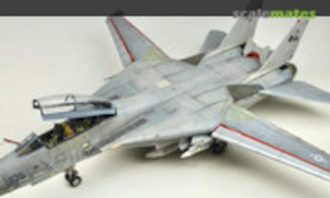 Grumman F-14D Tomcat 1:32