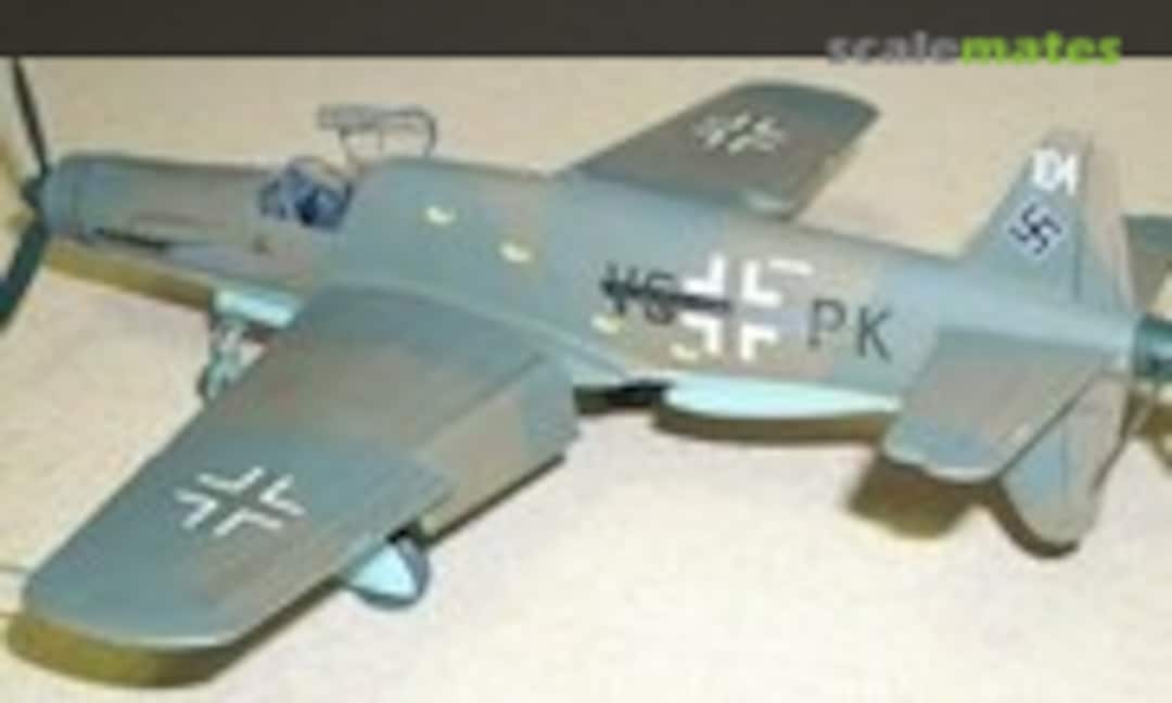 Dornier Do 335 A-1 1:48
