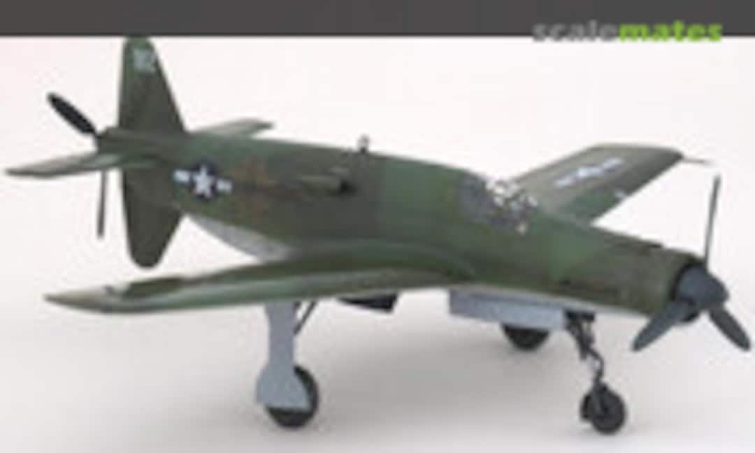Dornier Do 335 A-0 1:48