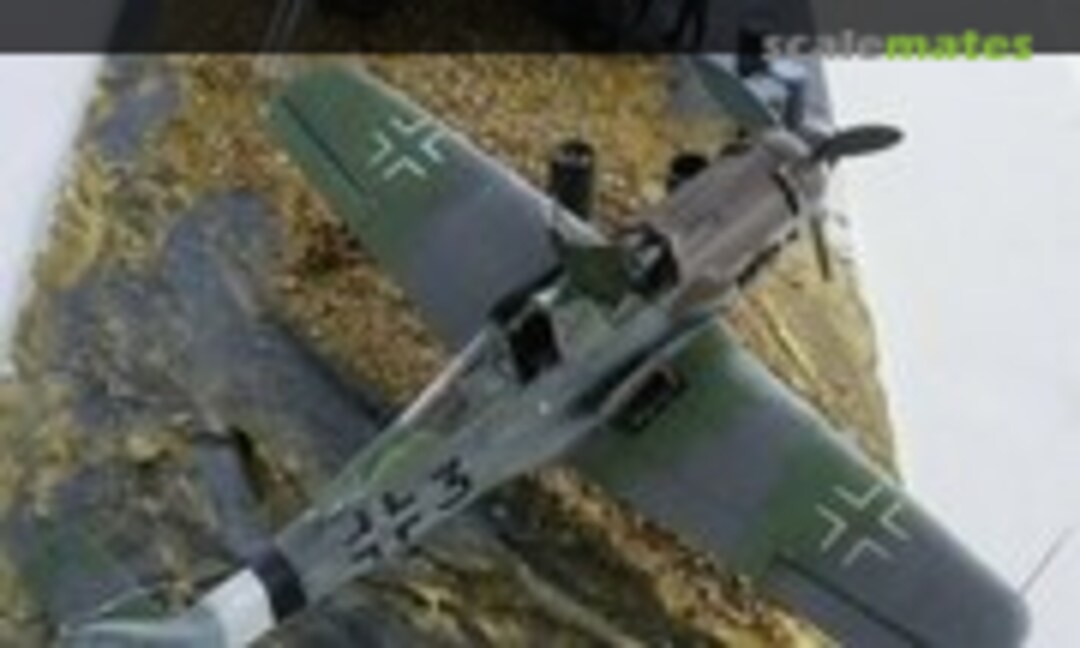 Focke-Wulf Fw 190D-9 1:48