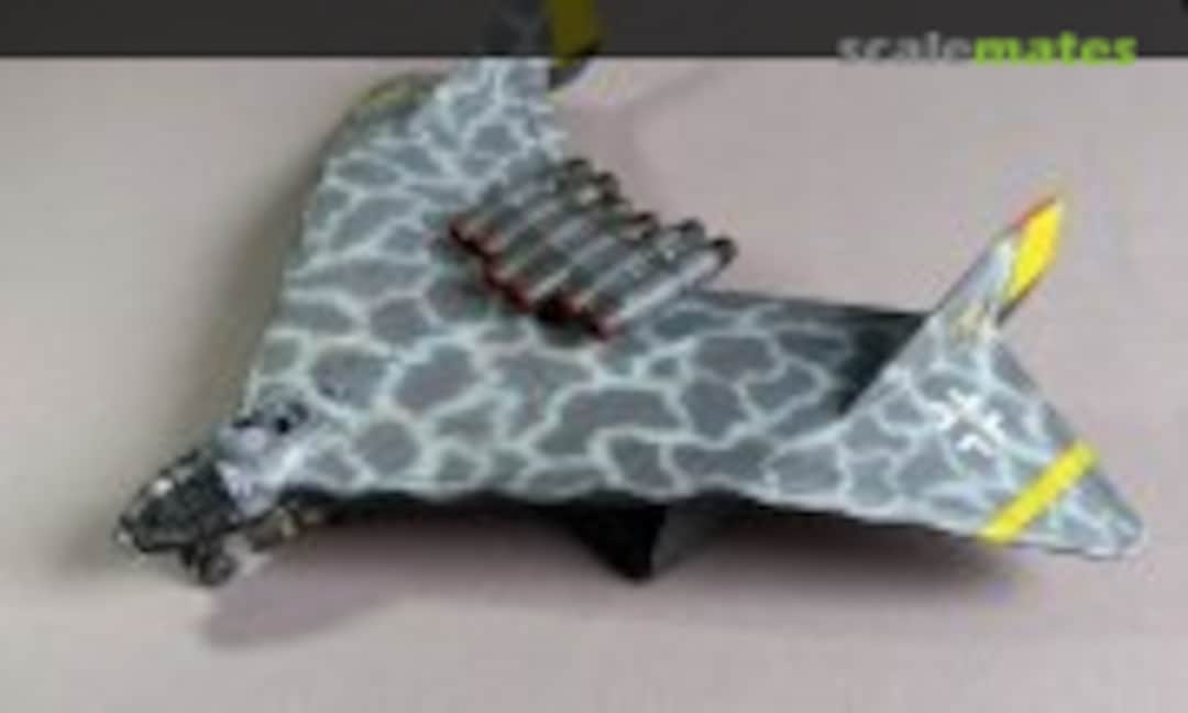 Arado Ar E.555/1 1:72