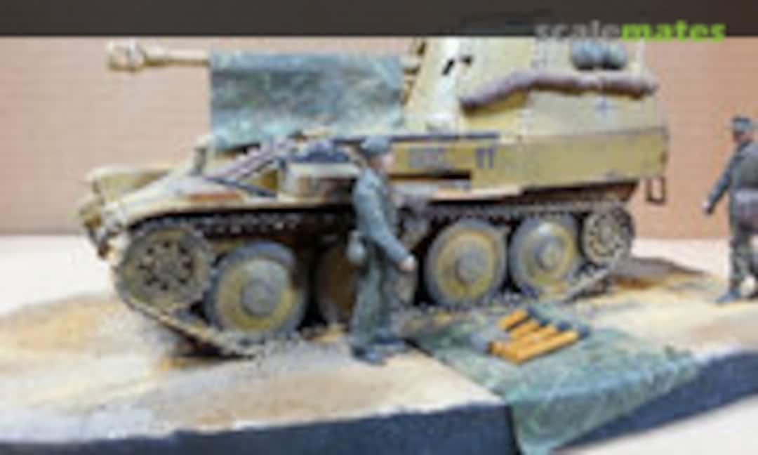 Marder hat nur noch vier Zähne 1:48