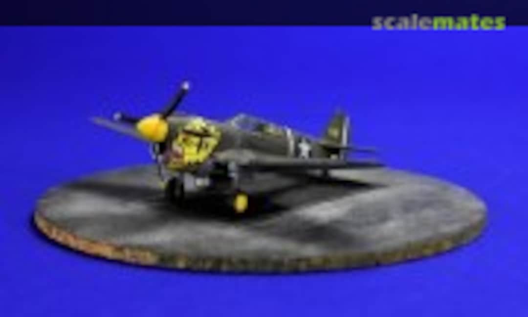 Curtiss P-40E Warhawk 1:144