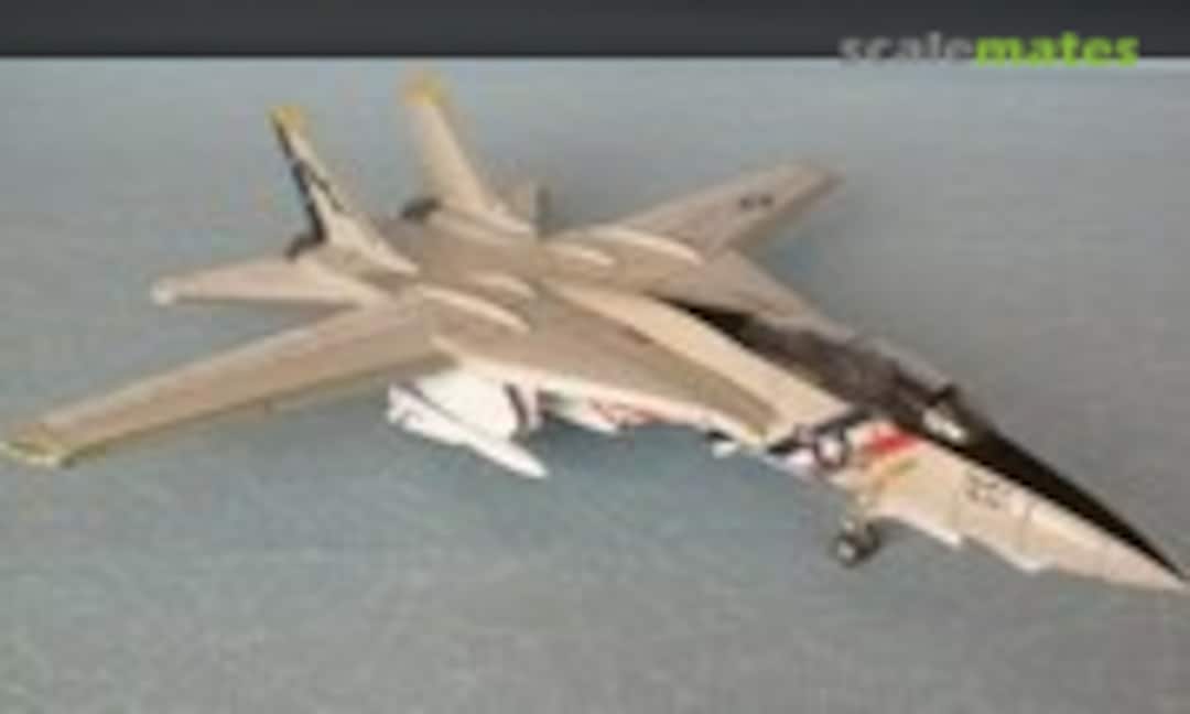 Grumman F-14A Tomcat 1:72
