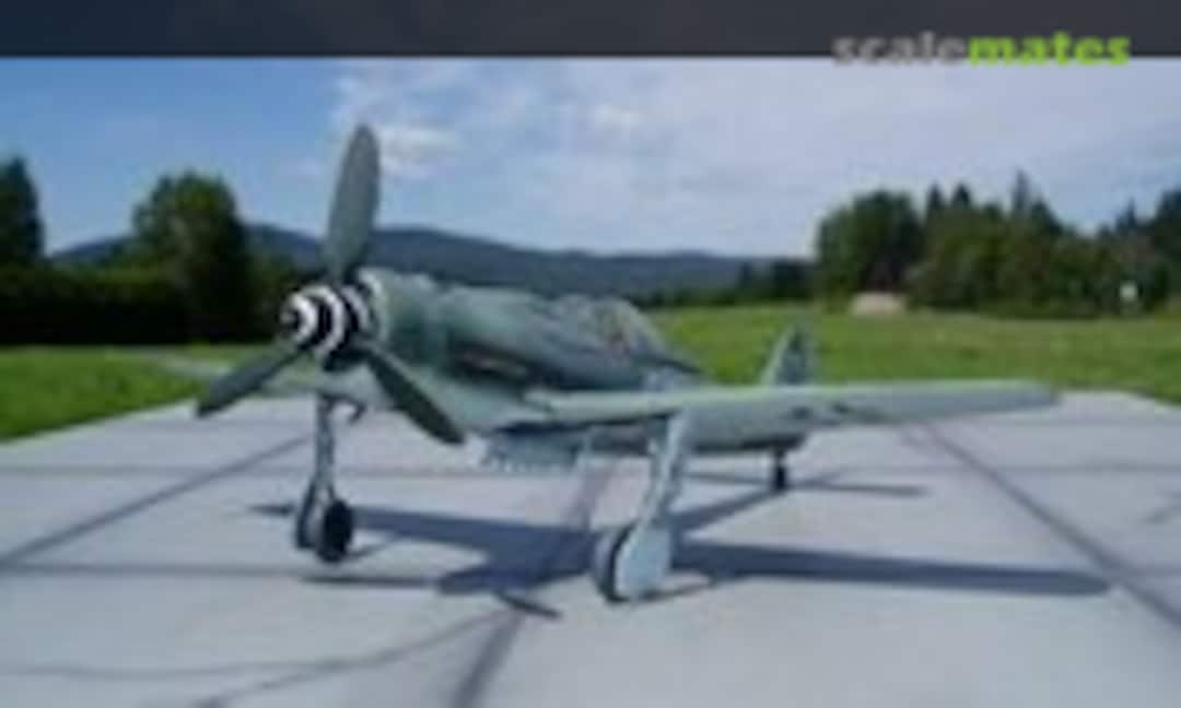 Focke-Wulf Fw 190D-9 1:48