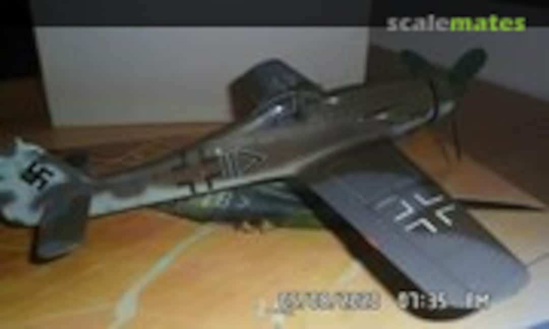 Focke-Wulf Fw 190D-11 1:48