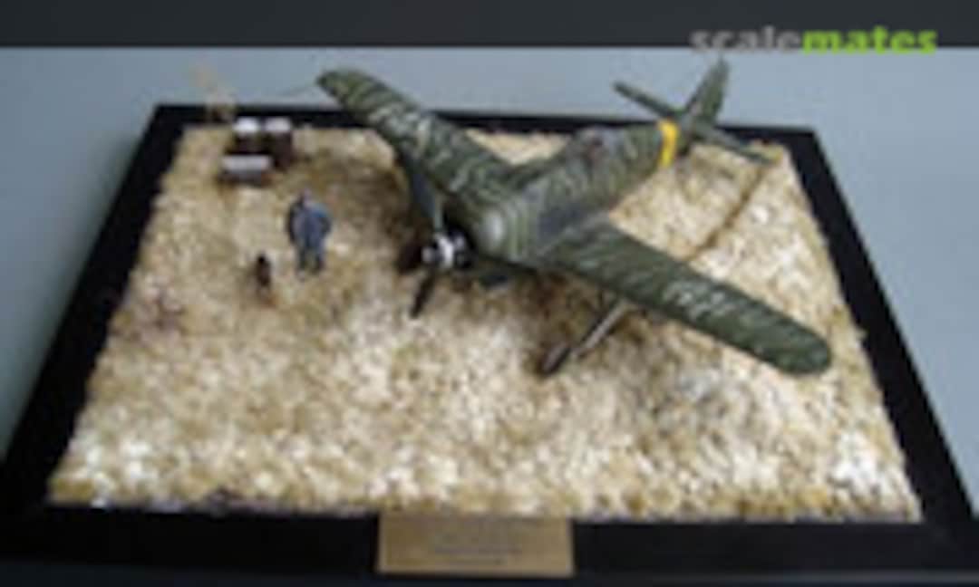 Focke-Wulf Fw 190F-8 1:48