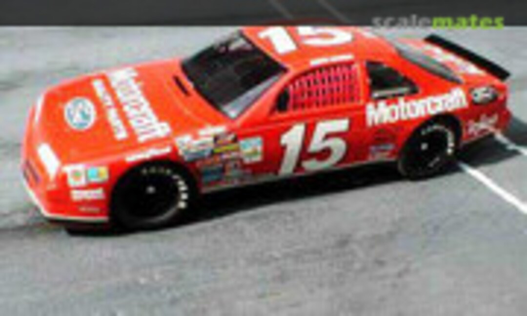 Stock-Cars 1:24